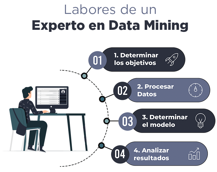 labores-experto-mineria-de-datos